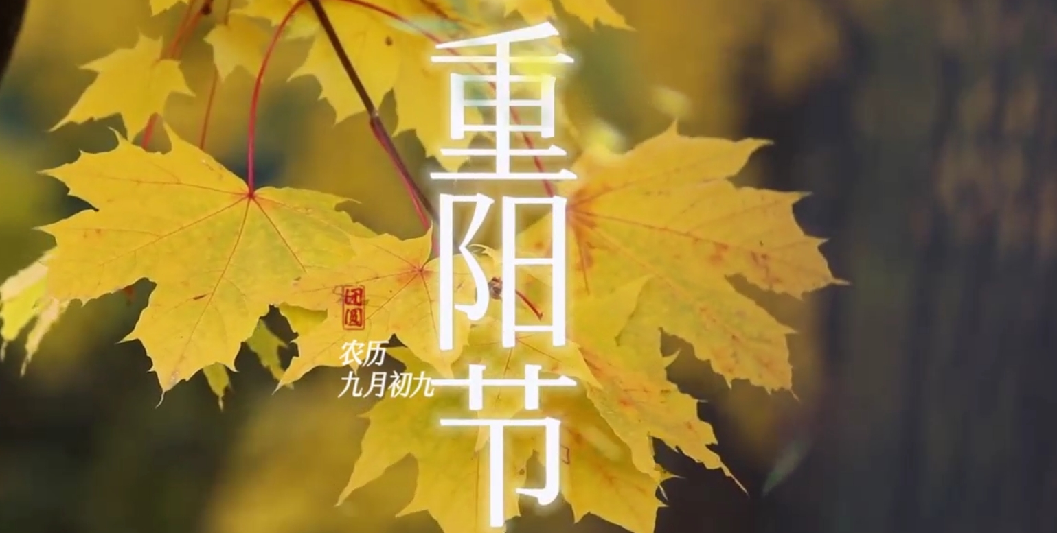 首页| 88858cc永利集团中国区官方网站