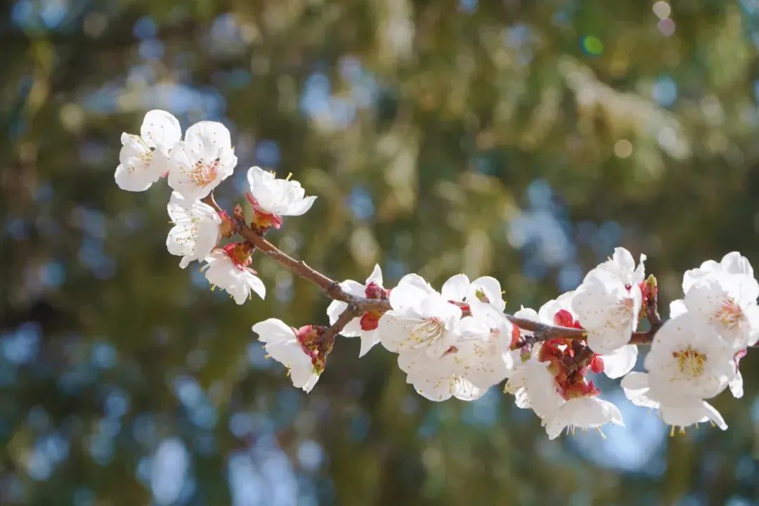 首页| 88858cc永利集团中国区官方网站