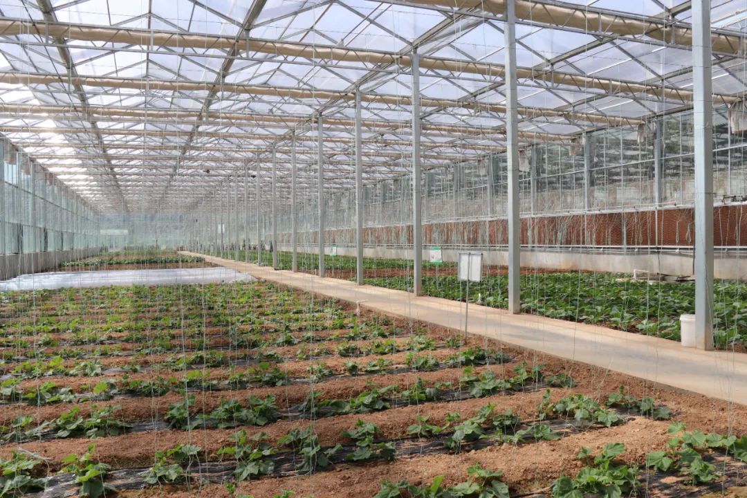 首页| 88858cc永利集团中国区官方网站