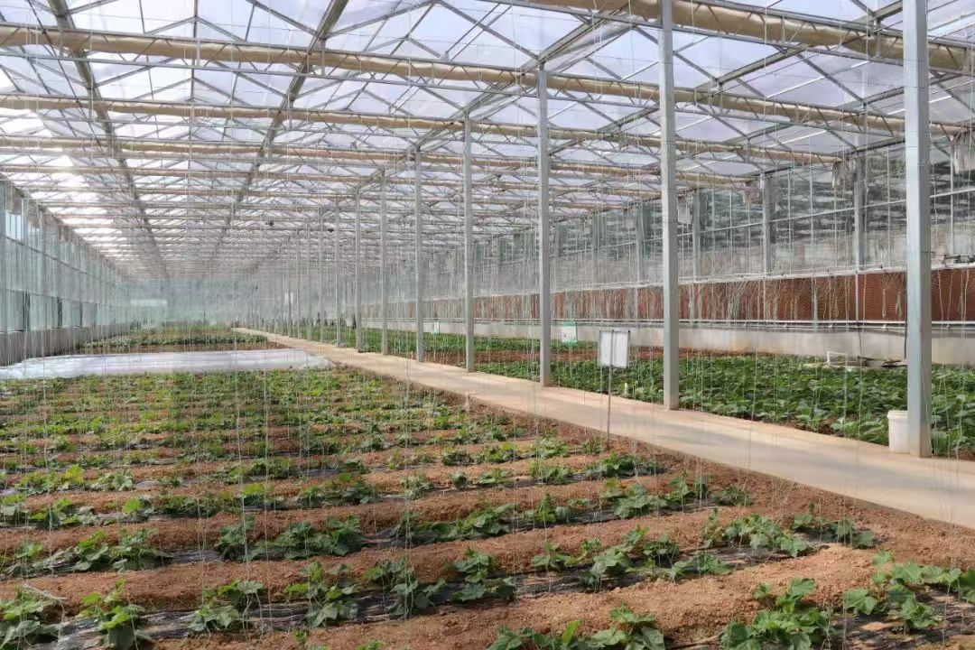 首页| 88858cc永利集团中国区官方网站